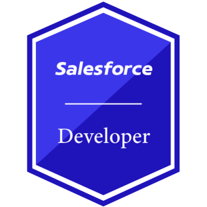 Salesforce Developer