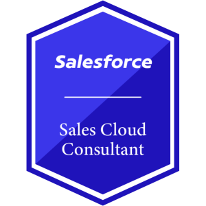 Salesforce Sales Cloud Consultant