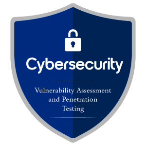 Vulnerability Assessment and Penetration Testing (VAPT) 